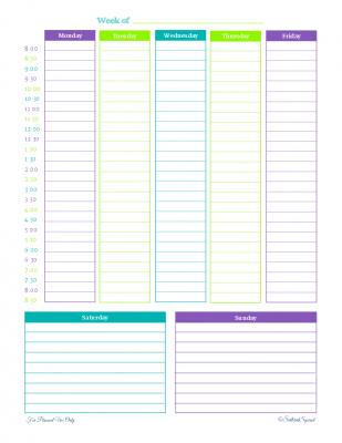 Single page weekly planner with Monday to Friday in columns on the top, with times of 8 am til 8:30 pm down the left hand side. Saturday and Sunday are in two column on the bottom quarter of the page.