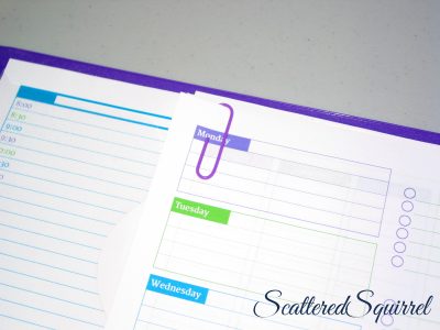 image of daily planner page tucked behind a weekly overview in a binder.