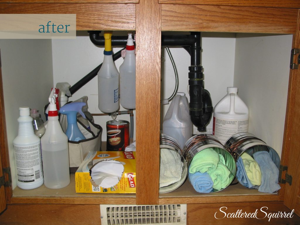 organized under the sink:  Scattered Squirrel