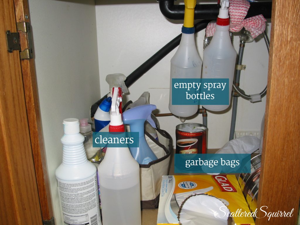 cleaning section: Scattered Squirrel