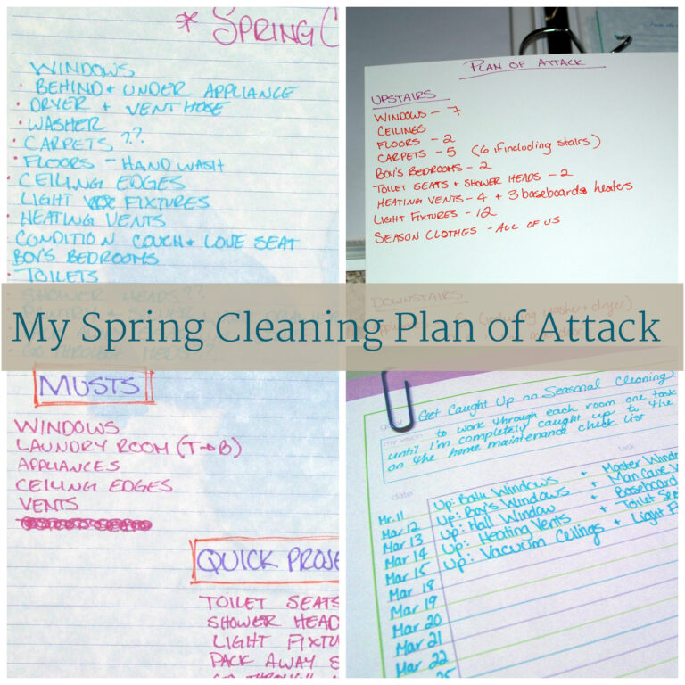 how I decided what to spring clean, from Scattered Squirrel