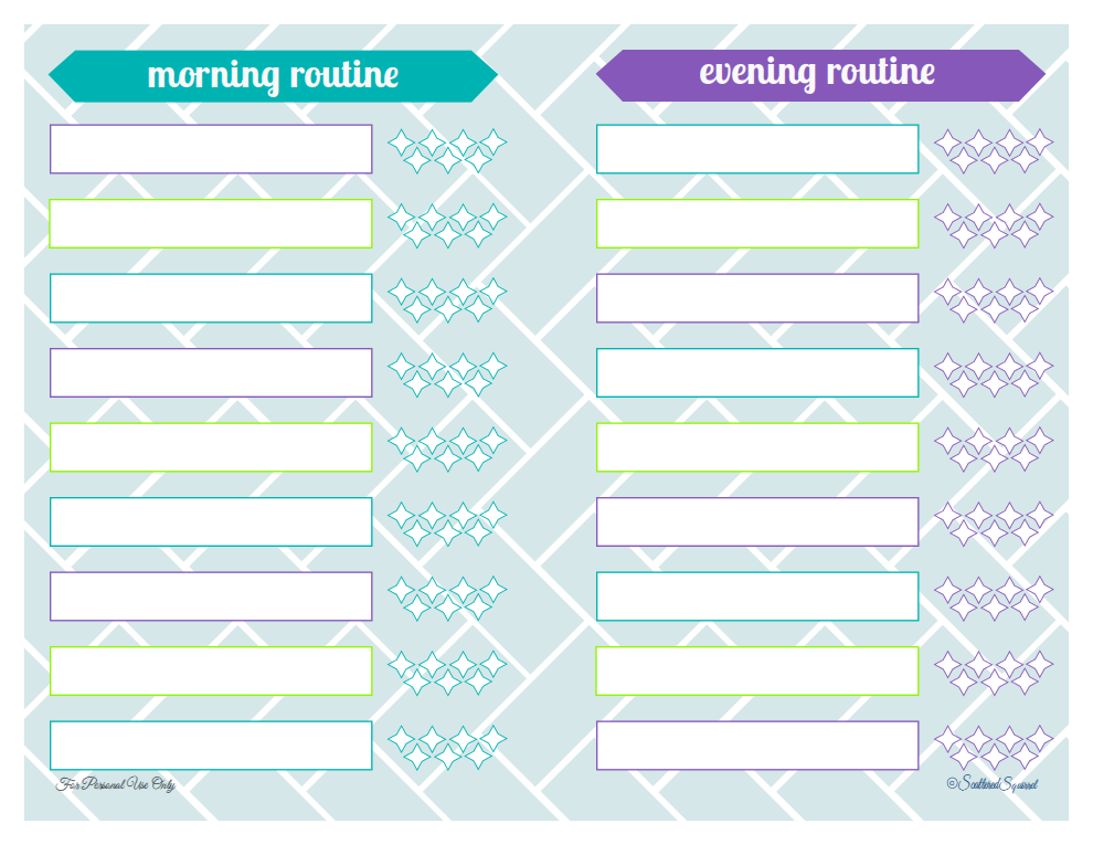 Morning and Evening Routine Scattered Squirrel