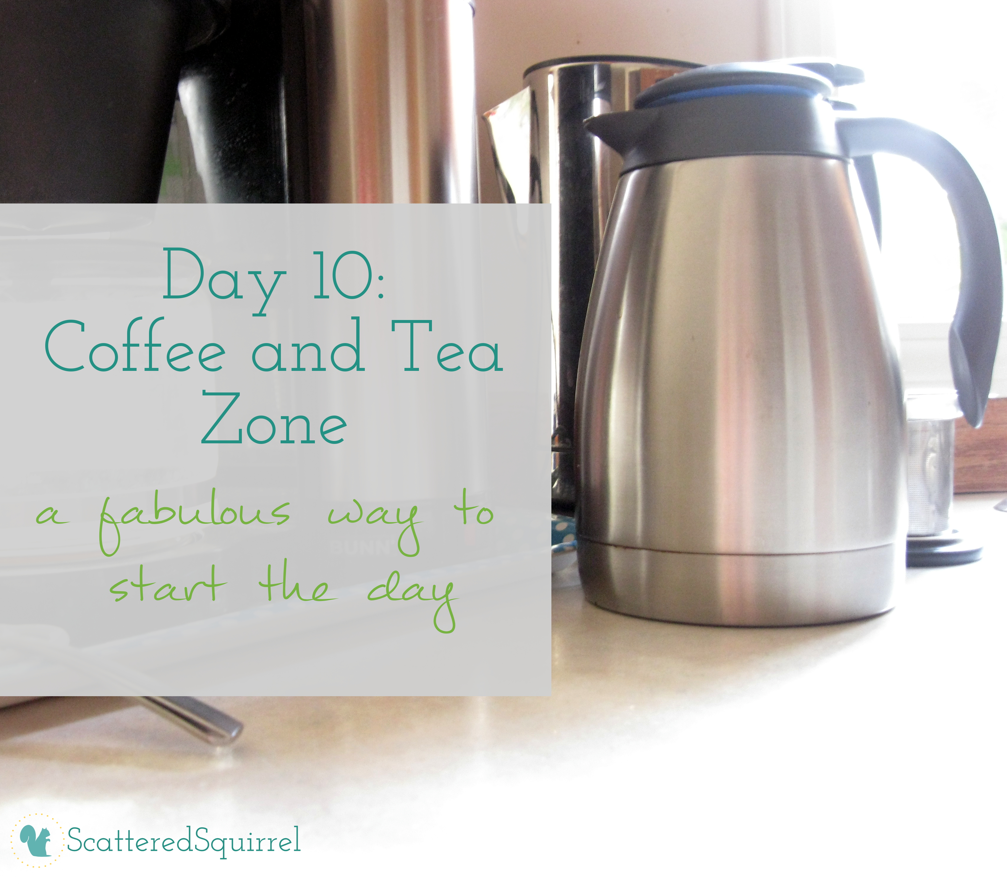 Day10CoffeeandTeaZone Scattered Squirrel