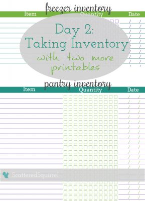 Day Program Inventory Activity Day2-Taking Inventory - Scattered Squirrel