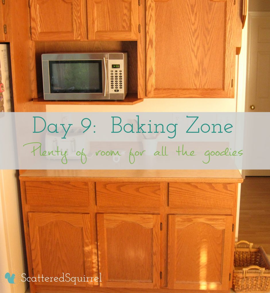 Day 9: Baking Zone - Scattered Squirrel