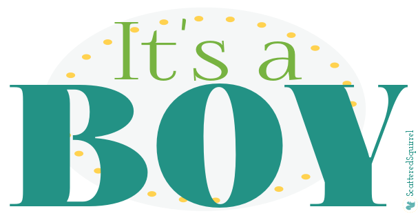 Our family has grown and it's a boy! Now I'm outnumbered 4-1 :-) ScatteredSquirrel.com