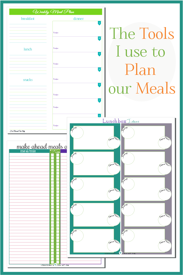 Organize Lunch Making - Scattered Squirrel