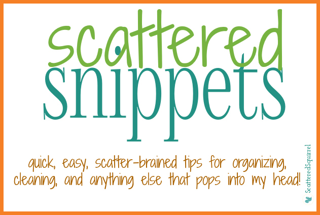 A series of small posts about organizing, cleaning, declutter and home mangement posts. | ScatteredSquirrel.com