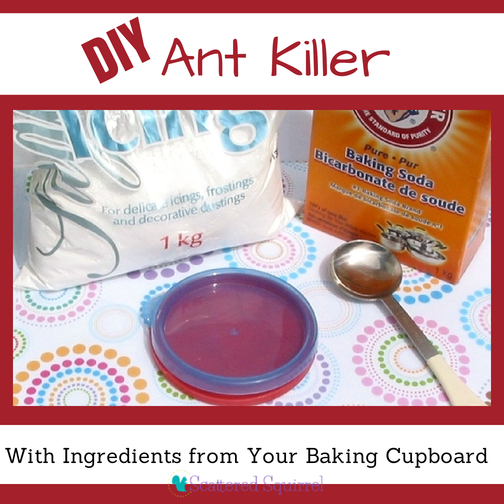 Say So Long To Ants With This Easy DIY Ant Killer Scattered Squirrel   DIY Ant Killer Facebook 