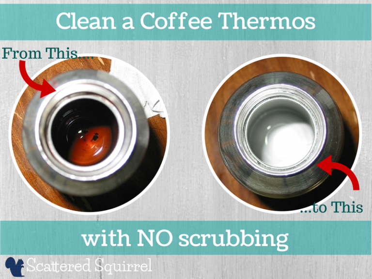 Clean a Coffee Thermos Scattered Squirrel