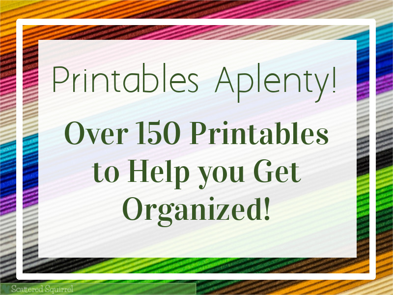 Over 150 Printables to help you get organized.