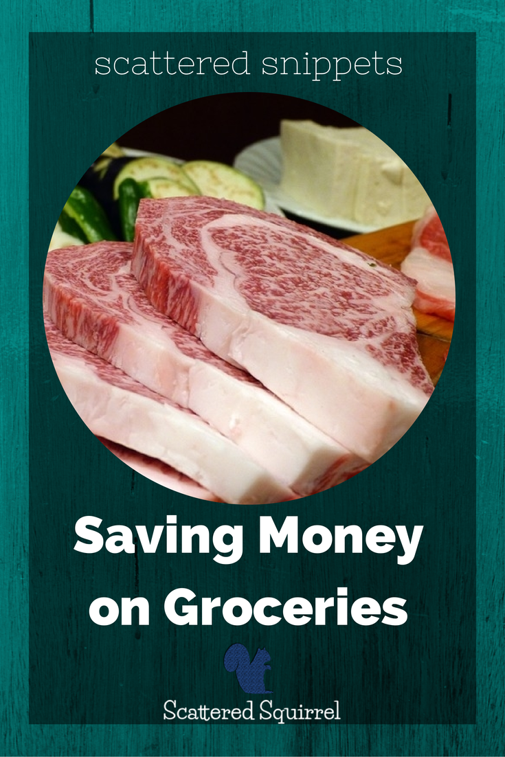 Saving Money on Groceries {a Scattered Snippet}