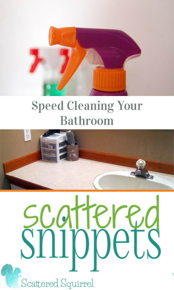 {Scattered Snippets} Speed Cleaning your Bathroom is not only a great way to keep your bathroom sparkling, but it can save you a ton of time when it comes time to deep clean it!