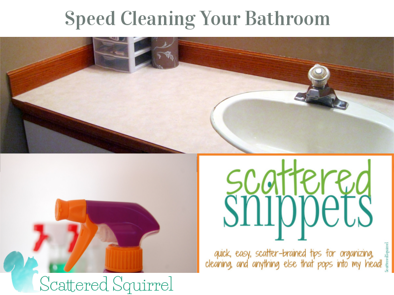 https://scatteredsquirrel.com/wp-content/uploads/2014/11/speed-cleaning-your-bathroom.png