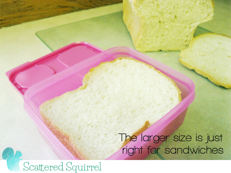 The larger size is just right for sandwhiches or other main dishes.