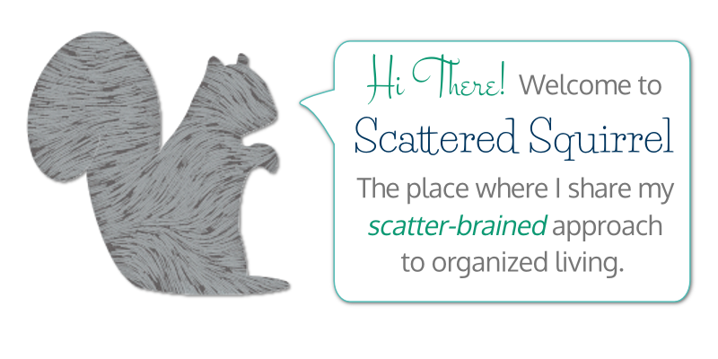 Organize Lunch Making - Scattered Squirrel