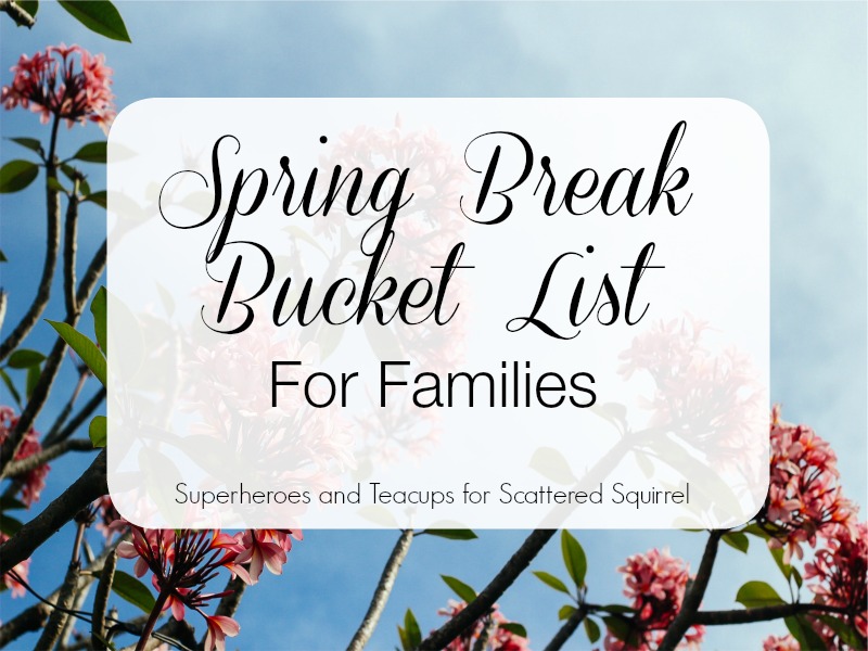 Spring break is a great time for family fun. This spring break bucket list is a great place to start!