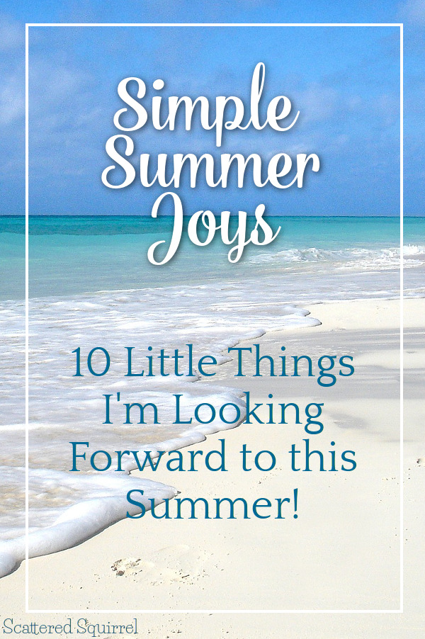 So often we focus on the big things and forget about the little one. Today I'm celebrating my top 10 Simple Summer Joys.