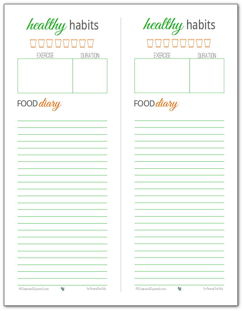 Healthy Habits Printable -track your water intake, log your exercise and monitor what you're eating each day.