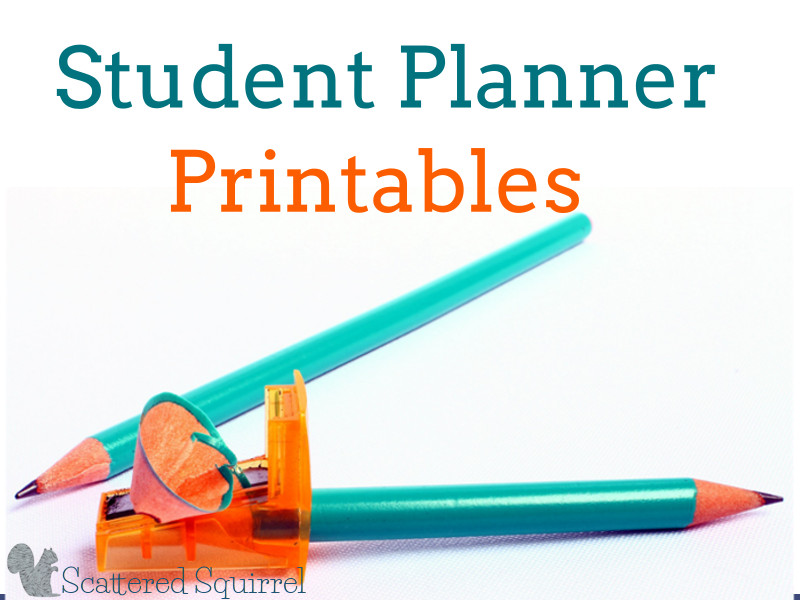 Printable Assignment Planner for Kids and Teens  Homework planner,  Assignment planner, Kids planner