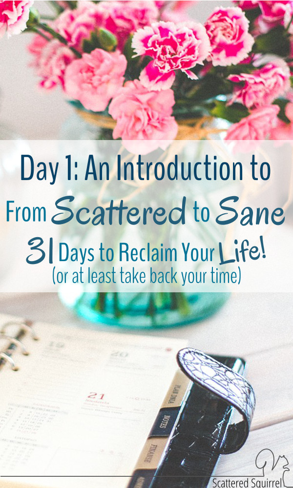 I'd love it if you would join me for the From Scattered to Sane series. Each day in October I'll be sharing new tips, tools, ideas and motivations as part of my 31 Days to Reclaim Your Life! (or at least take back your time) series. Stop on by and check them out.