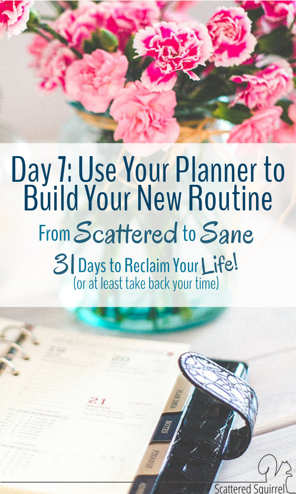 When building a new routine, a planner can be the best tool to help keep you on track and accountable.