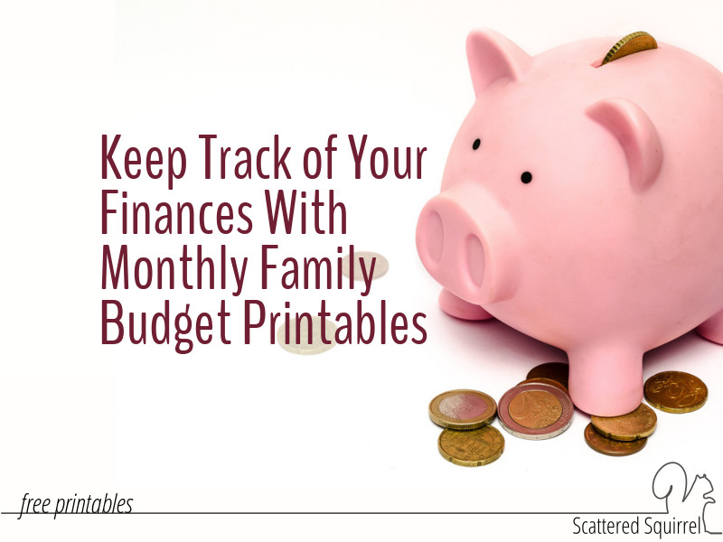 Keep track of your finance with these handy monthly family budget printables