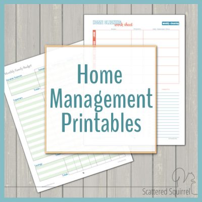 Managing home and family can be a bit of a chore. The home management printables are sure to be a big help in keeping track of everything,