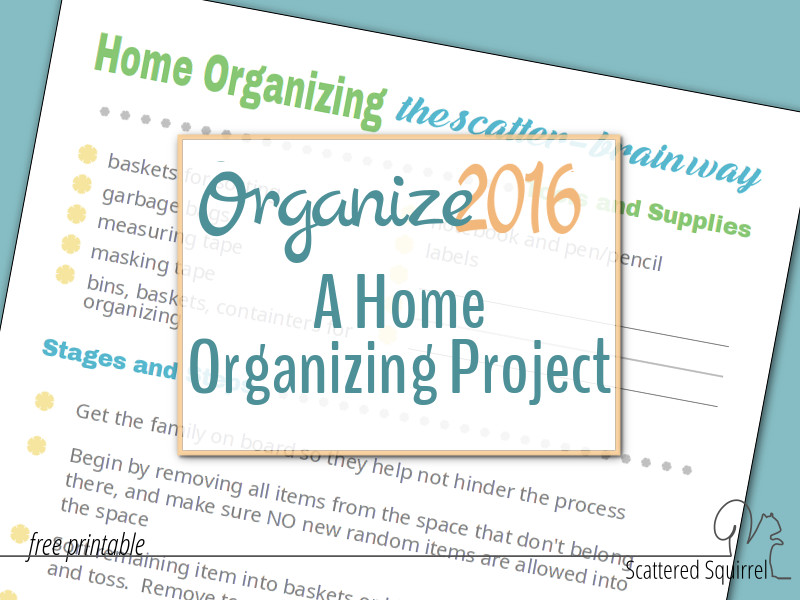 Organize 2016!  A Home Organizing Project