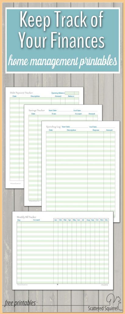 A Few More Finance Printables to Help You Stay on Track - Scattered ...