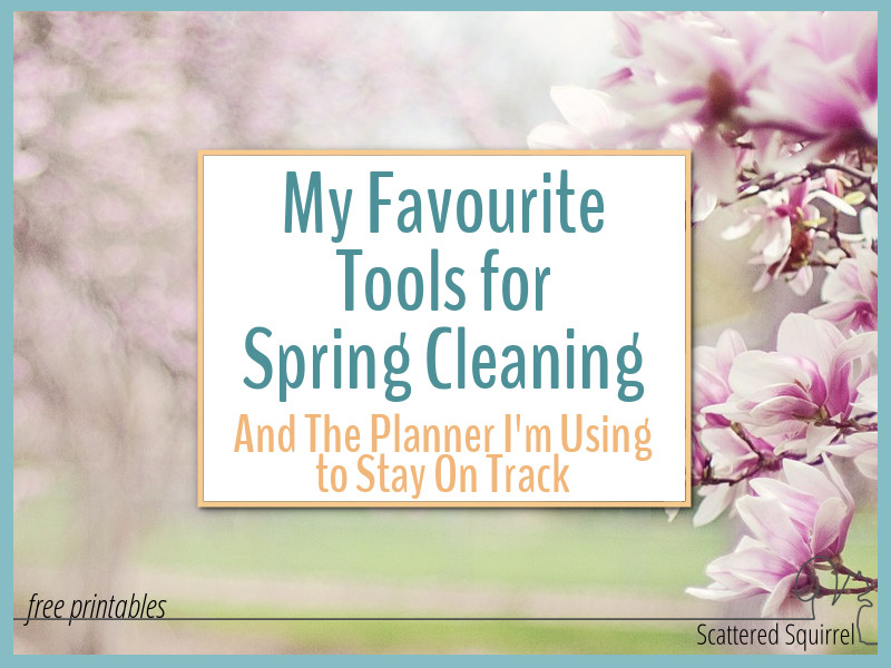 Here are a few of my favourite tools for spring cleaning.