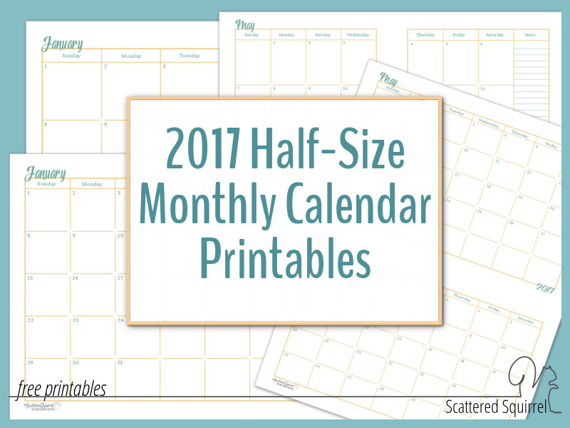 The 2017 Half-Size Monthly Calendar printables are a wonderful addition to your planner, especially if you need to do some long-term planning.