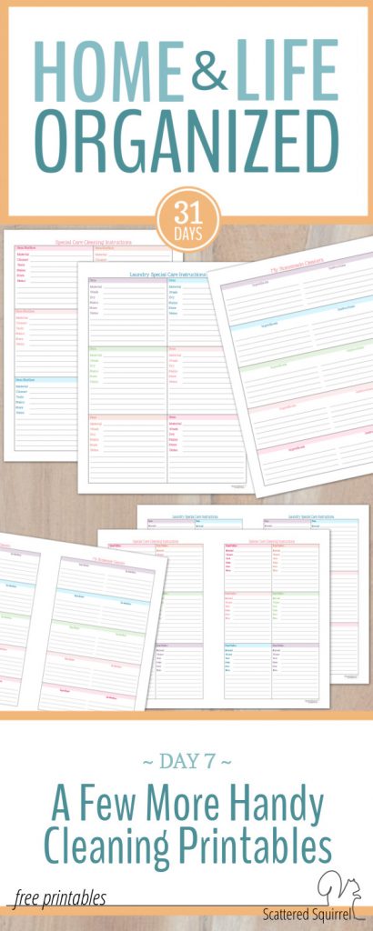 These handy cleaning printables are a great addition to a home management binder. They offer you a place to keep instructions for those special care items and a place to store those homemade cleaner recipes.