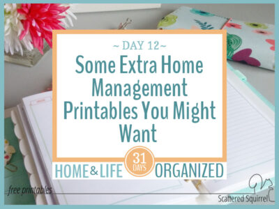 A few extra printables you might want to include in your home management binder.