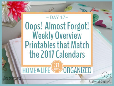 Here are the weekly overview printables that match the 2017 calendars. You didn't think I'd forget did you?