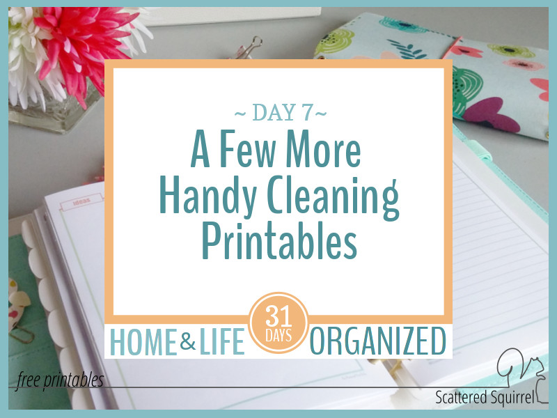 A Few Handy Cleaning Printables to Have on Hand