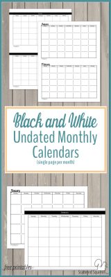 Black and White Undated Monthly Calendars are perfect for those that like to use color coding or stickers in your planner.