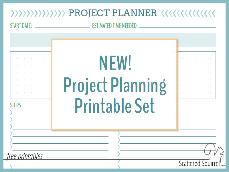 Project Organizer PDF 