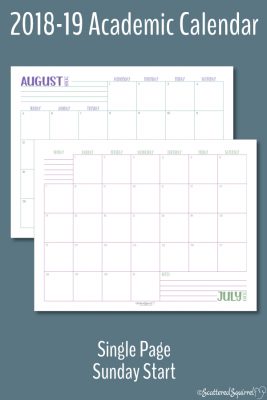 These single page per month, Academic calendars are dated from August 2018 through July 2019 and feature a Sunday start day.