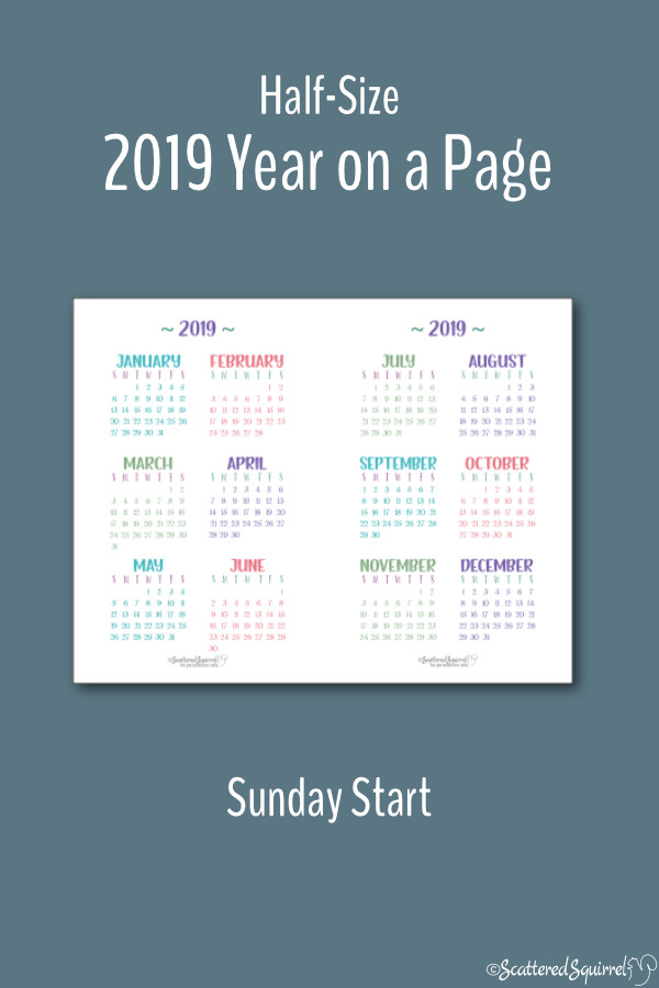 Half-Size 2019 Year on a Page Calendar printable with a Sunday start day.