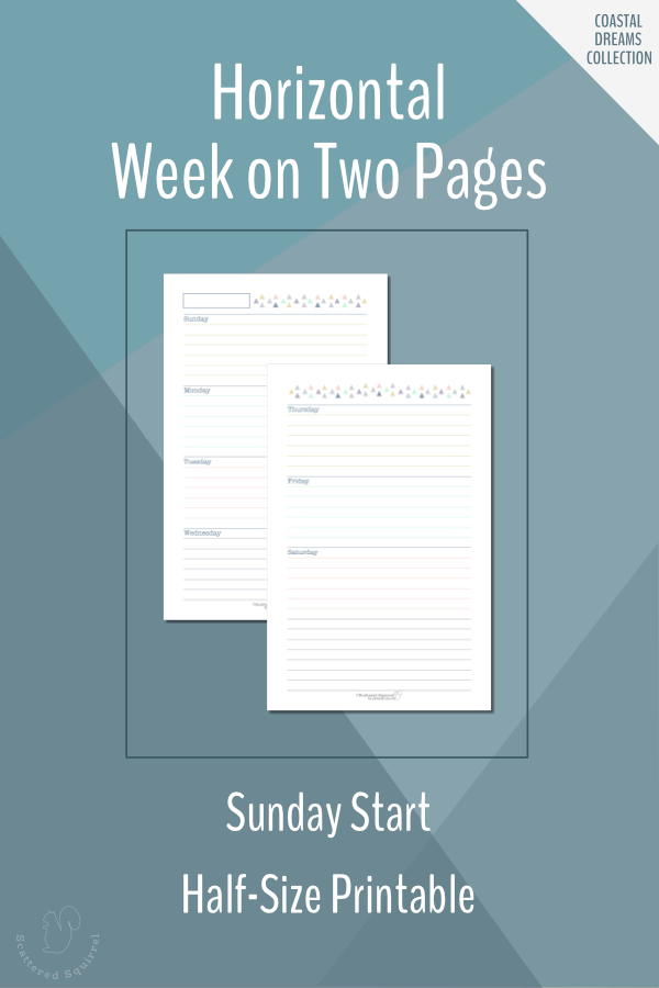 PRINTED Week on Two Pages Horizontal Edition Weekly Planner 