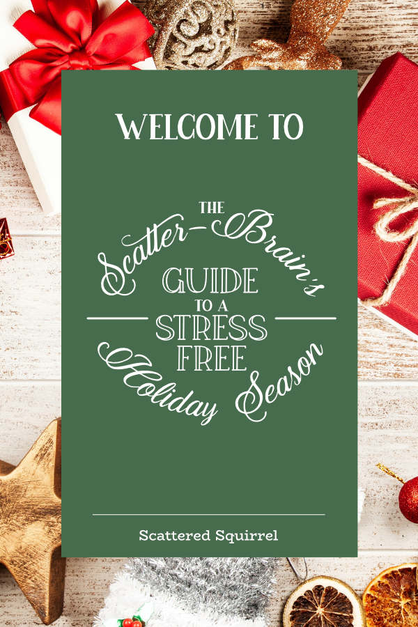 Welcome to the Scatter-Brain’s Guide to a Stress Free Holiday Season