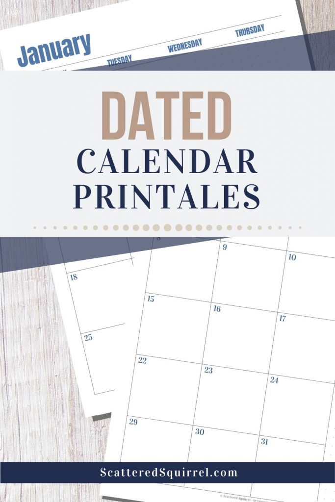 Dated Calendars Scattered Squirrel