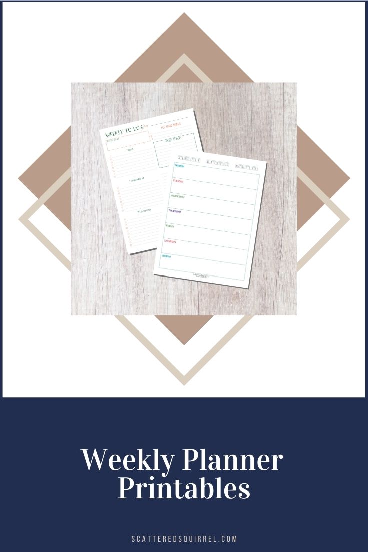 Family Chore Chart: Family Chore Organizer ,Weekly Chore List ,Weekly  Planner ,Daily Organizer ,Undated Family Planner,Weekly Family Chore Chart