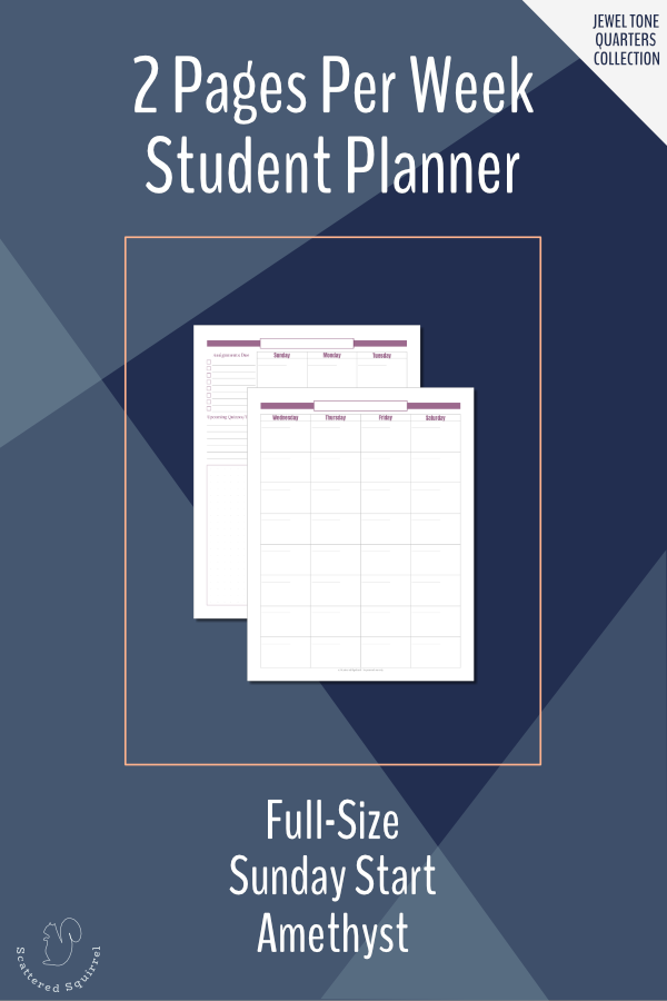 This Sunday start, letter-size, two pages per week planner designed specifically with students in mind. This one is part of the Jewel Tone Quarters collection, in Amethyst, which match the third quarter of the 2021 calendars.