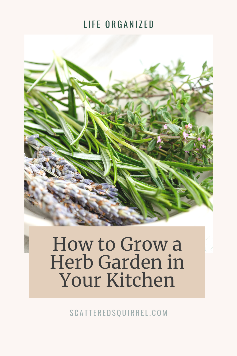 Title image - shows some fresh herbs in a bowl. The title reads: How to Grow a Herb Garden in Your Kitchen.