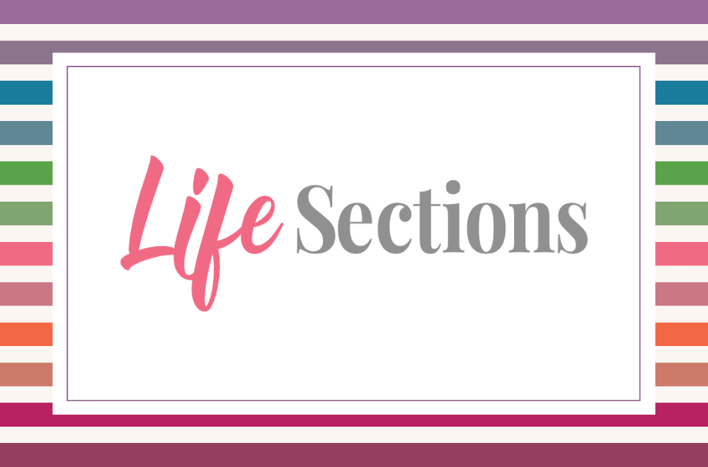 This image has a reverse rainbow striped background. On top of the background is a white rectangle with a green border inset from the edges. Then in colourful fonts the words Life Sections are centred on the white box.